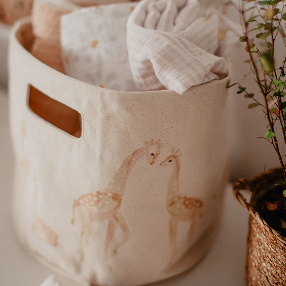 Cesta Pinta – Jirafas